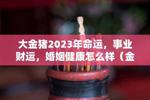 大金猪2023年命运，事业财运，婚姻健康怎么样（金猪 年）
