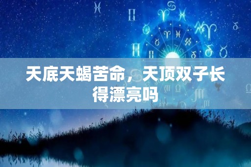天底天蝎苦命，天顶双子长得漂亮吗