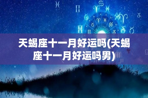 天蝎座十一月好运吗(天蝎座十一月好运吗男)