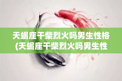 天蝎座干柴烈火吗男生性格(天蝎座干柴烈火吗男生性格特点)