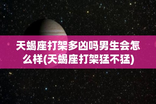 天蝎座打架多凶吗男生会怎么样(天蝎座打架猛不猛)