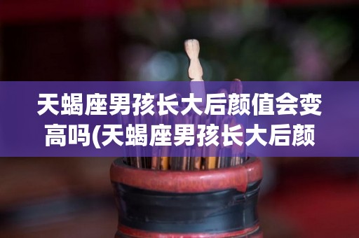 天蝎座男孩长大后颜值会变高吗(天蝎座男孩长大后颜值会变高吗知乎)