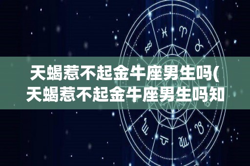 天蝎惹不起金牛座男生吗(天蝎惹不起金牛座男生吗知乎)