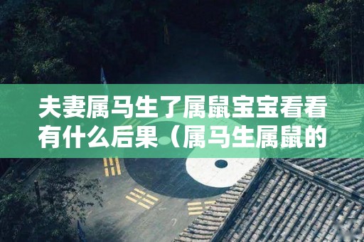 夫妻属马生了属鼠宝宝看看有什么后果（属马生属鼠的好不好）