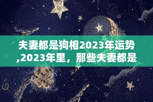 夫妻都是狗相2023年运势,2023年里，那些夫妻都是狗的生肖配对，2023年运势不好