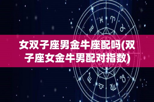 女双子座男金牛座配吗(双子座女金牛男配对指数)