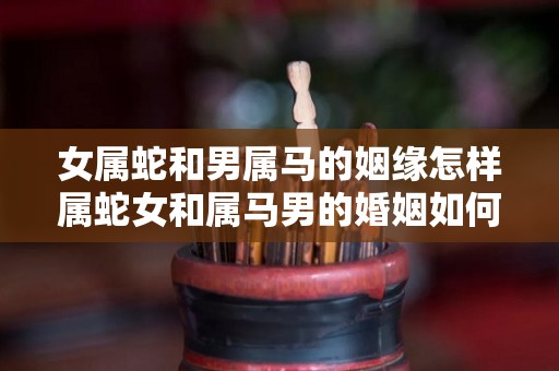 女属蛇和男属马的姻缘怎样属蛇女和属马男的婚姻如何（女属蛇和男属马的合不合财）