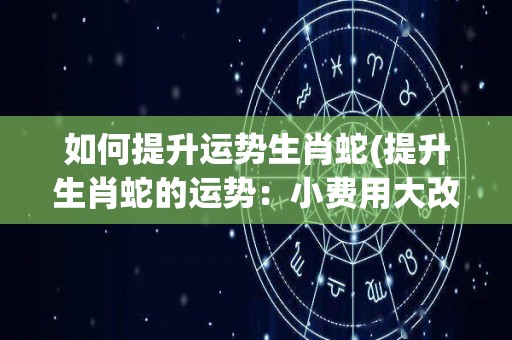 如何提升运势生肖蛇(提升生肖蛇的运势：小费用大改变！)