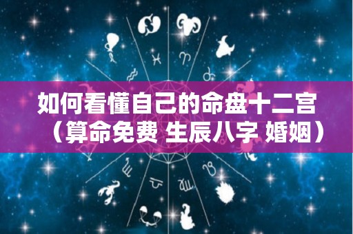 如何看懂自己的命盘十二宫（算命免费 生辰八字 婚姻）