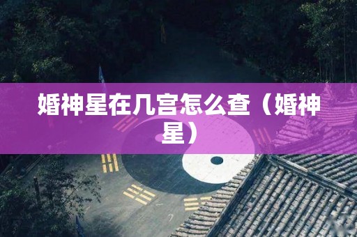 婚神星在几宫怎么查（婚神星）