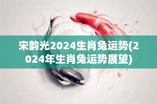 宋韵光2024生肖兔运势(2024年生肖兔运势展望)