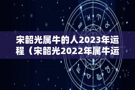 宋韶光属牛的人2023年运程（宋韶光2022年属牛运势）