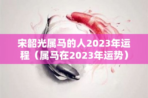 宋韶光属马的人2023年运程（属马在2023年运势）