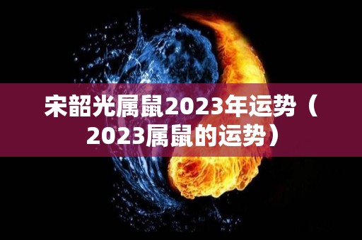 宋韶光属鼠2023年运势（2023属鼠的运势）