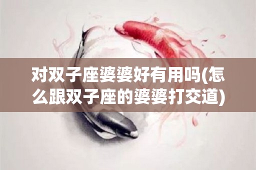 对双子座婆婆好有用吗(怎么跟双子座的婆婆打交道)