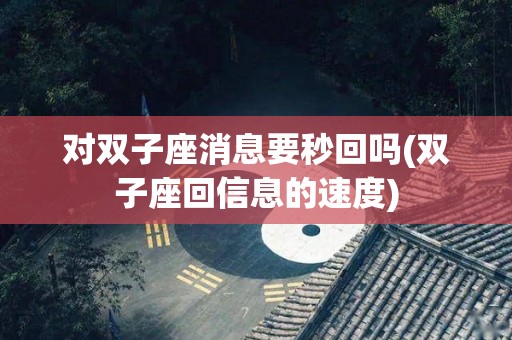 对双子座消息要秒回吗(双子座回信息的速度)