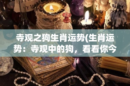 寺观之狗生肖运势(生肖运势：寺观中的狗，看看你今年的运气如何！)