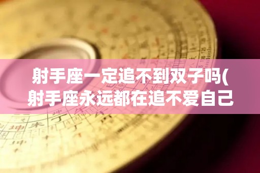 射手座一定追不到双子吗(射手座永远都在追不爱自己的人)