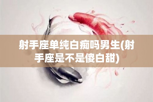 射手座单纯白痴吗男生(射手座是不是傻白甜)