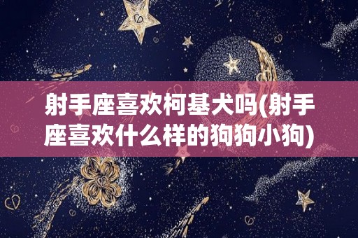 射手座喜欢柯基犬吗(射手座喜欢什么样的狗狗小狗)