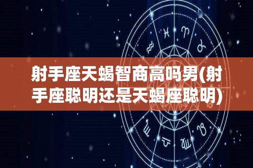 射手座天蝎智商高吗男(射手座聪明还是天蝎座聪明)