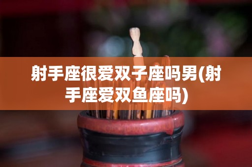 射手座很爱双子座吗男(射手座爱双鱼座吗)