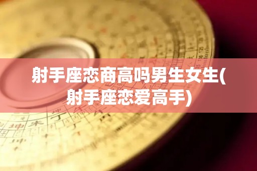 射手座恋商高吗男生女生(射手座恋爱高手)