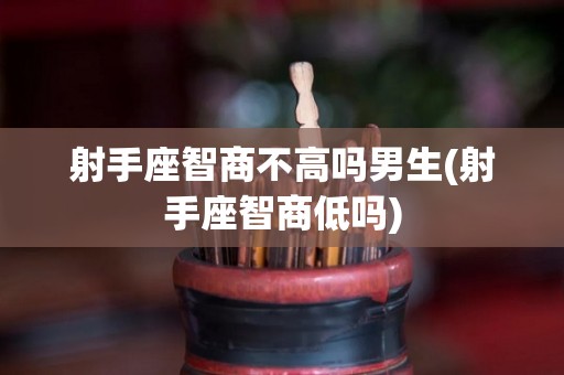 射手座智商不高吗男生(射手座智商低吗)