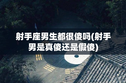 射手座男生都很傻吗(射手男是真傻还是假傻)