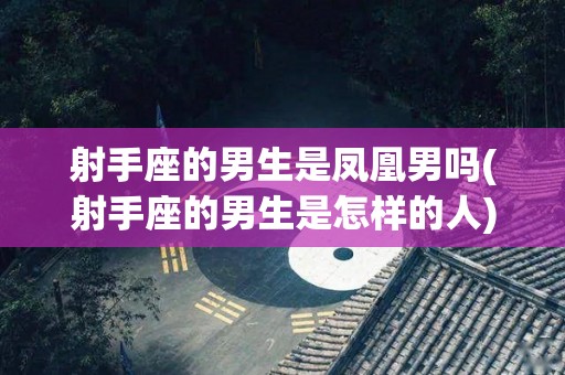 射手座的男生是凤凰男吗(射手座的男生是怎样的人)