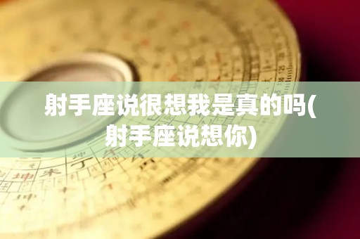 射手座说很想我是真的吗(射手座说想你)