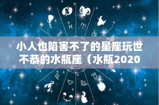小人也陷害不了的星座玩世不恭的水瓶座（水瓶2020年底遭小人）