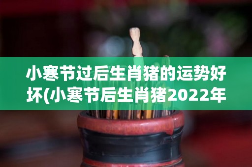 小寒节过后生肖猪的运势好坏(小寒节后生肖猪2022年的运势如何？)