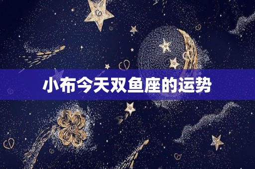 小布今天双鱼座的运势
