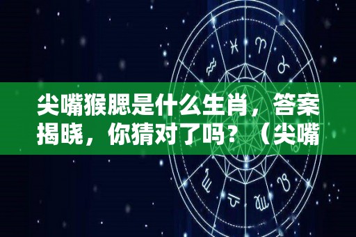 尖嘴猴腮是什么生肖，答案揭晓，你猜对了吗？（尖嘴猴腮指什么生肖）