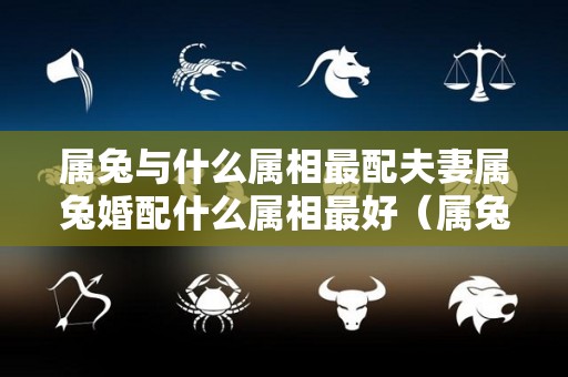 属兔与什么属相最配夫妻属兔婚配什么属相最好（属兔和什么属相最配婚姻）