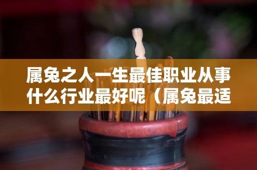 属兔之人一生最佳职业从事什么行业最好呢（属兔最适合的职业有哪些?）
