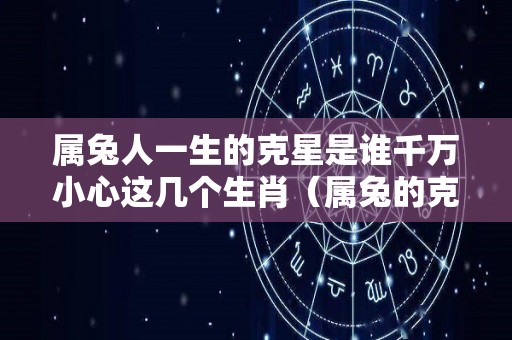 属兔人一生的克星是谁千万小心这几个生肖（属兔的克星是什么属相）