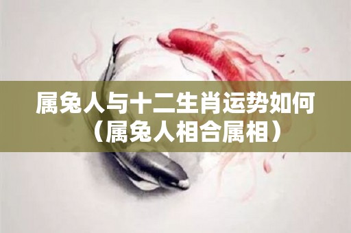 属兔人与十二生肖运势如何（属兔人相合属相）