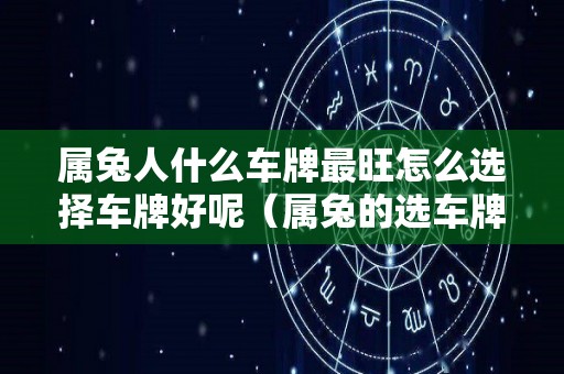 属兔人什么车牌最旺怎么选择车牌好呢（属兔的选车牌）