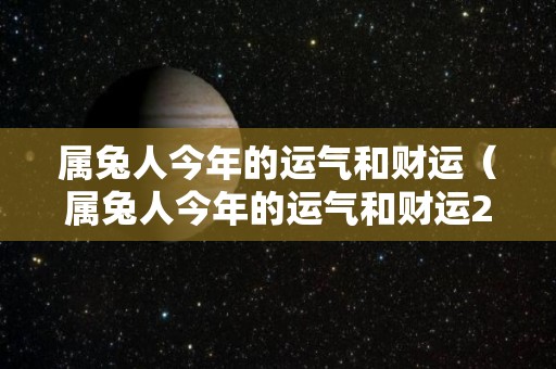 属兔人今年的运气和财运（属兔人今年的运气和财运2022）