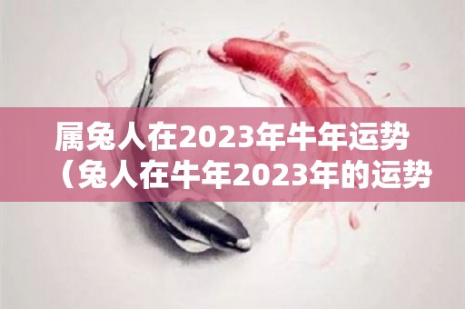 属兔人在2023年牛年运势（兔人在牛年2023年的运势如何）