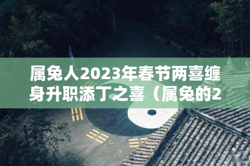 属兔人2023年春节两喜缠身升职添丁之喜（属兔的2023年运势和财运怎么样）