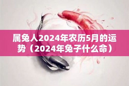 属兔人2024年农历5月的运势（2024年兔子什么命）
