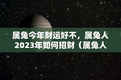 属兔今年财运好不，属兔人2023年如何招财（属兔人今年运势2023年每月运势）