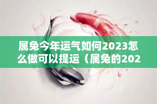 属兔今年运气如何2023怎么做可以提运（属兔的2023年全年运势）