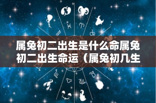 属兔初二出生是什么命属兔初二出生命运（属兔初几生好）