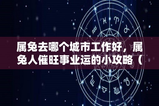 属兔去哪个城市工作好，属兔人催旺事业运的小攻略（属兔的人去哪个方位工作好）