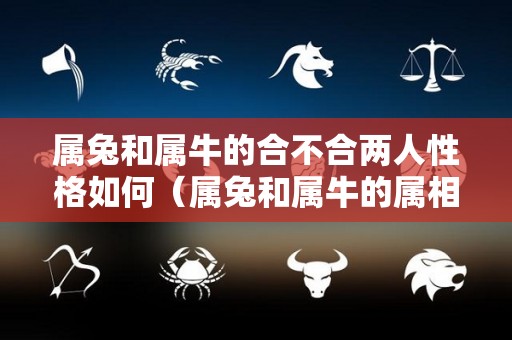 属兔和属牛的合不合两人性格如何（属兔和属牛的属相合不合）