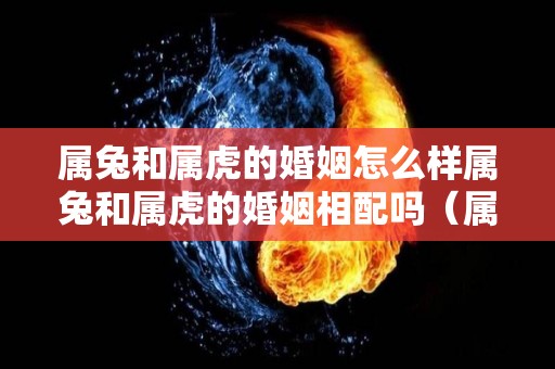 属兔和属虎的婚姻怎么样属兔和属虎的婚姻相配吗（属兔和属虎的婚姻怎么样有结果吗）